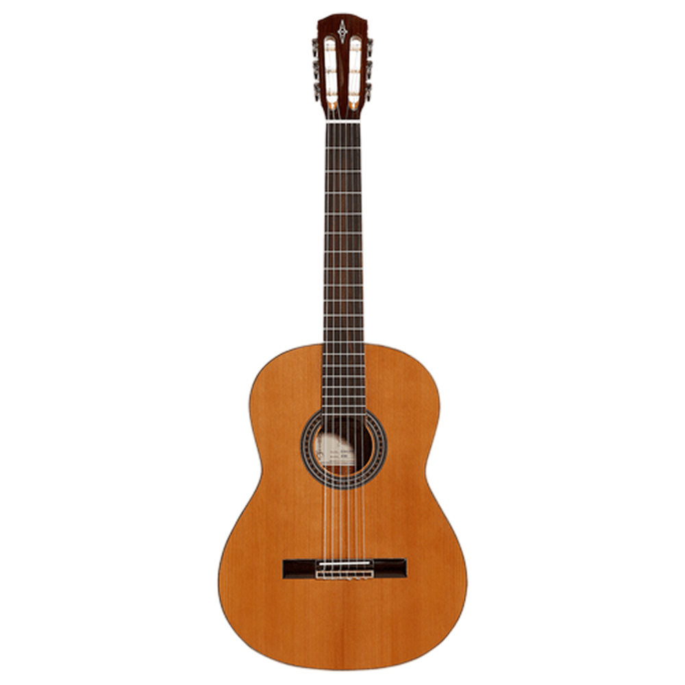 Acoustic Guitar