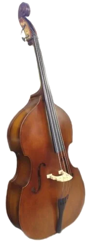 String Bass